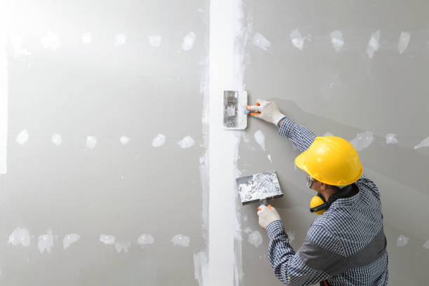 Best Biohazard Mold Removal  in East Gaffney, SC