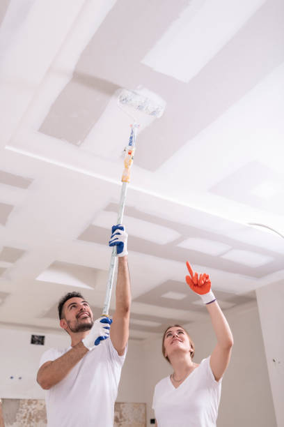 Mold Removal for HVAC Installations in East Gaffney, SC