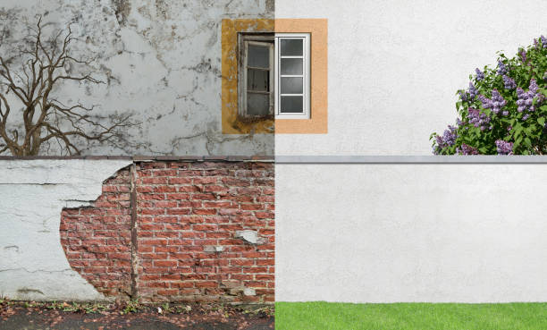 Best Mold Prevention Services  in East Gaffney, SC