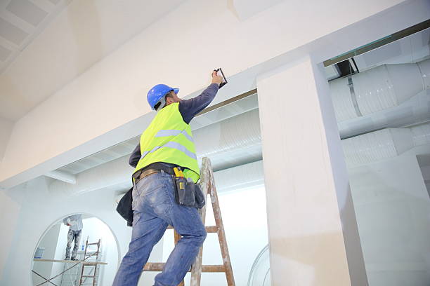 Reliable East Gaffney, SC Mold Removal Solutions