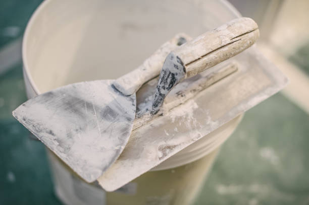 Best Post-Construction Mold Inspection  in East Gaffney, SC