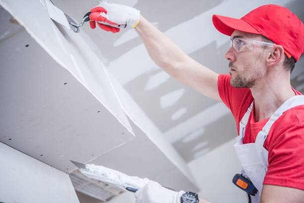 Best Post-Construction Mold Inspection  in East Gaffney, SC
